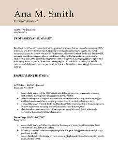 light header resume template